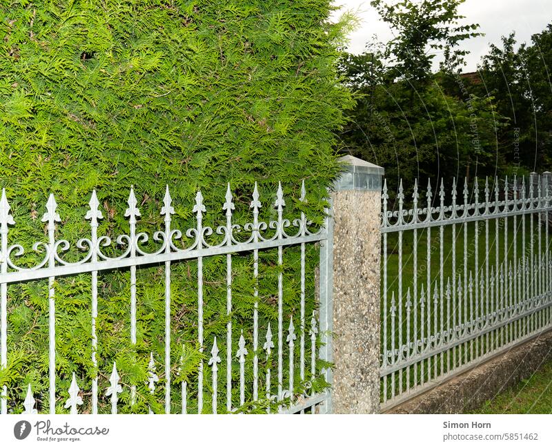 Metallzaun mit Hecke Sichtschutz Privatsphäre Grundstück Grenze Nachbarschaft Zaun Garten nebeneinander Linie Ruhe abgeschieden Abgrenzung