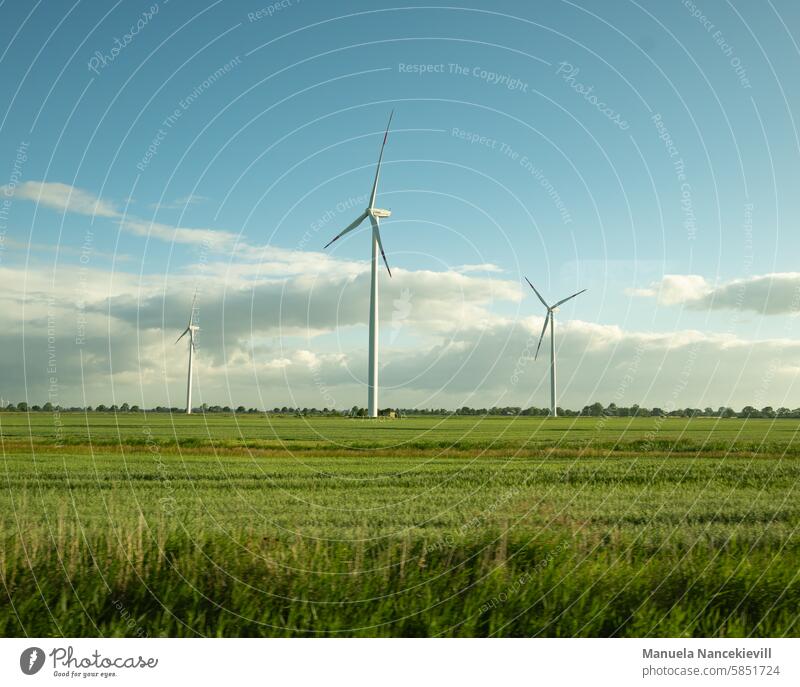 Dithmarscher Sommerlandschaft Sommerzeit Natur grün Feld Gras Landschaft Wiese ländlich im Freien Umwelt windernergie ruhig friedlich malerisch