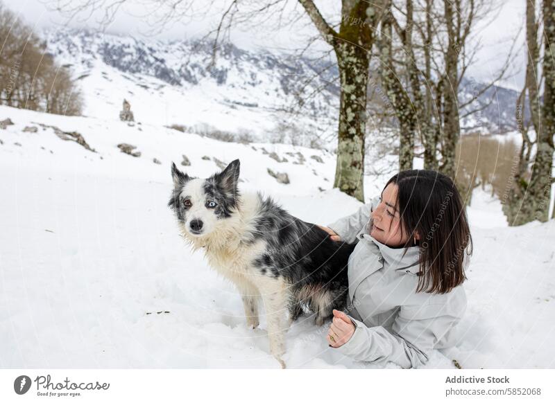 Frau mit Blue Merle Border Collie in verschneiter Landschaft Hund blue merle Schnee Winter Mantel Haustier Berge u. Gebirge Baum kalt Schneelandschaft Natur