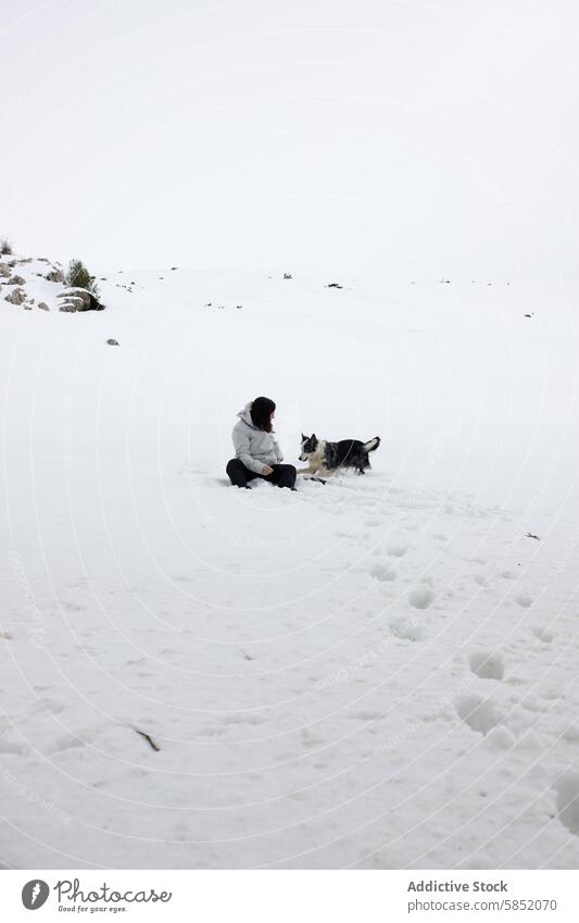 Frau und Border Collie Blue Merle beim Spielen in verschneiter Landschaft blue merle Schnee Winter spielerisch Interaktion Sitzen Hund Haustier im Freien