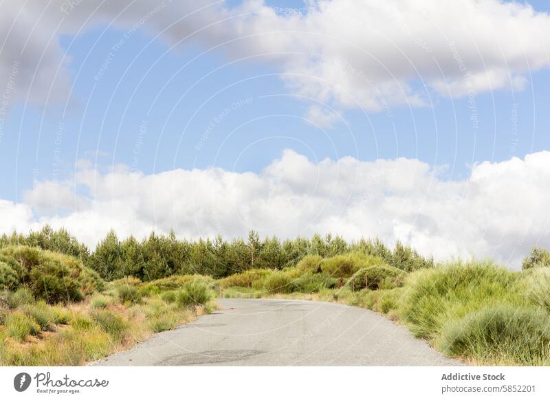 Kurvenreiche Straße inmitten einer üppigen Naturlandschaft Landschaft geschlängelt Weg grün Sträucher Himmel Wolken Gelassenheit malerisch ruhig üppig (Wuchs)