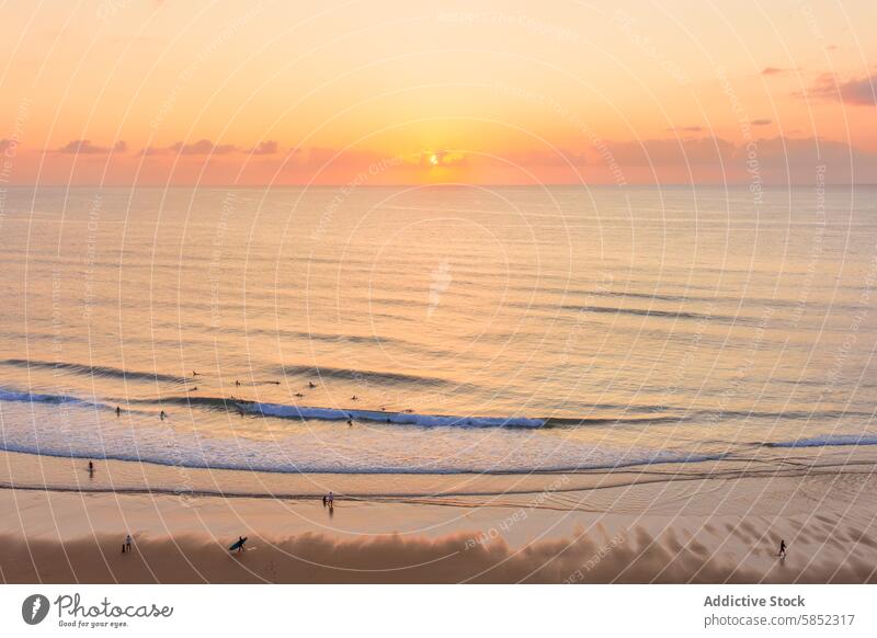 Gelassener Sonnenuntergang an einem Küstenstrand mit Surfern Strand Sommer ruhig Gelassenheit Warmes Licht Natur Landschaft MEER Meer Sand Uferlinie Wellen