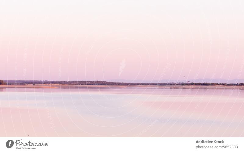 Gelassener Sommer-Sonnenuntergang an einer Küstenlandschaft Landschaft ruhig Pastell Wasser Reflexion & Spiegelung Gelassenheit Abenddämmerung Natur friedlich