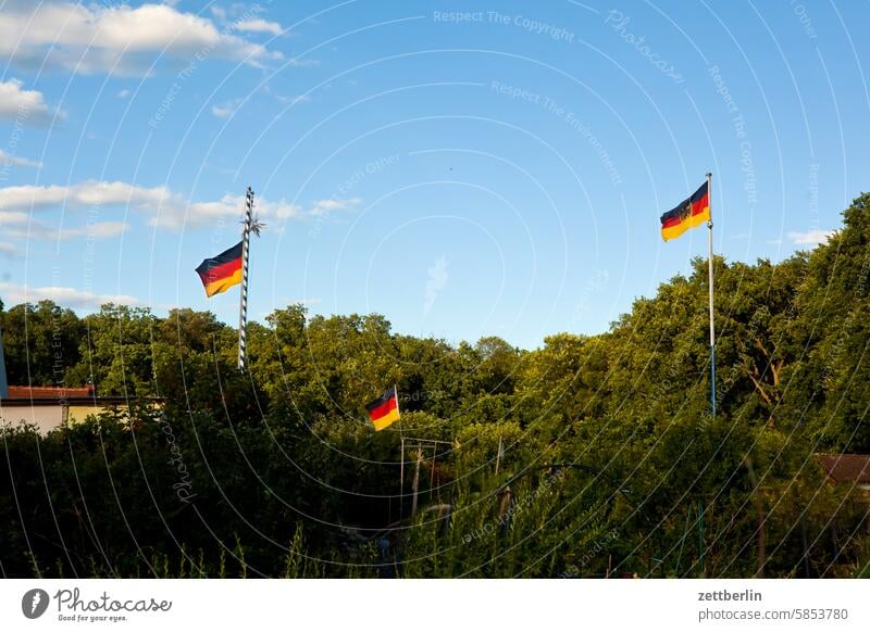 Kurz vor dem Fußball ast baum dämmerung erholung ferien frühjahr garten himmel kleingarten kleingartenkolonie menschenleer nachbarschaft natur pflanze ruhe