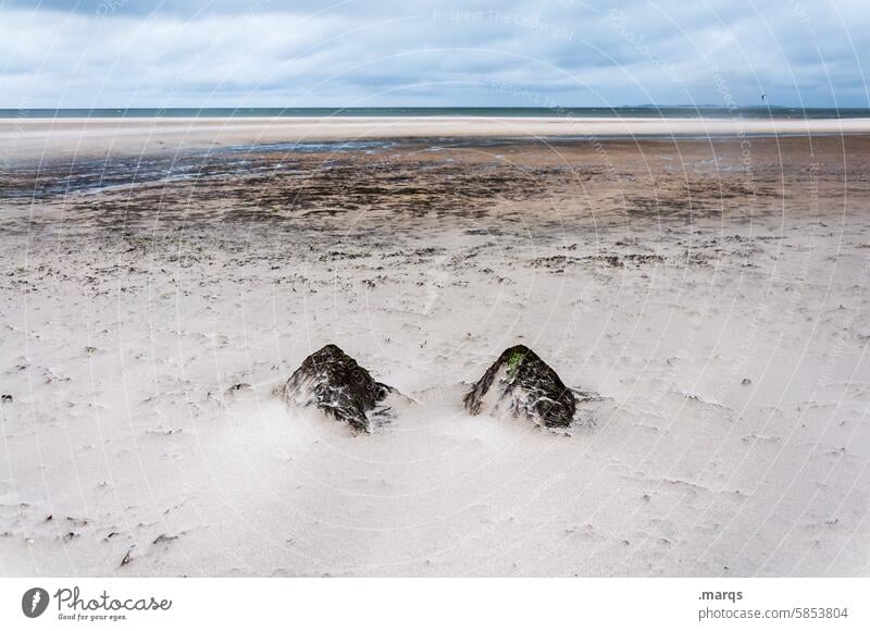 Gemeinsam Amrum Strand Wetter Klima Horizont Küste Gezeiten Ebbe Steine Sand Felsen Zusammensein Zusammenhalt fels in der brandung Verlässlichkeit