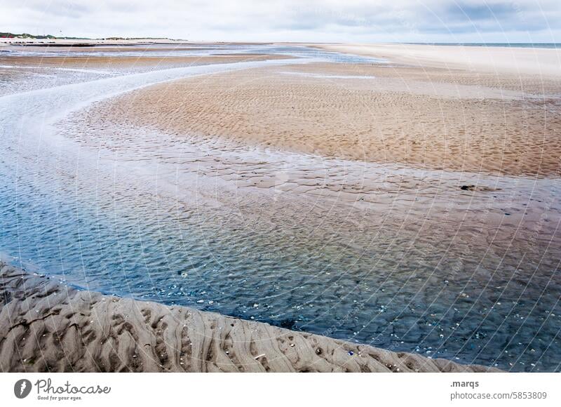 Priel Gezeiten Nordseeküste Himmel Sand Horizont Ebbe Strand Meer Wasser Natur Wattenmeer Küste Strukturen & Formen