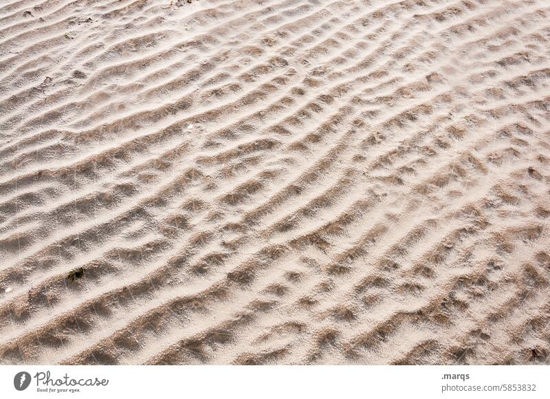 Meeresboden Strukturen & Formen Muster Detailaufnahme Sand Küste Ebbe wellig Strand Schönes Wetter Umwelt Boden Wellenlinie Nordsee Urelemente trocken
