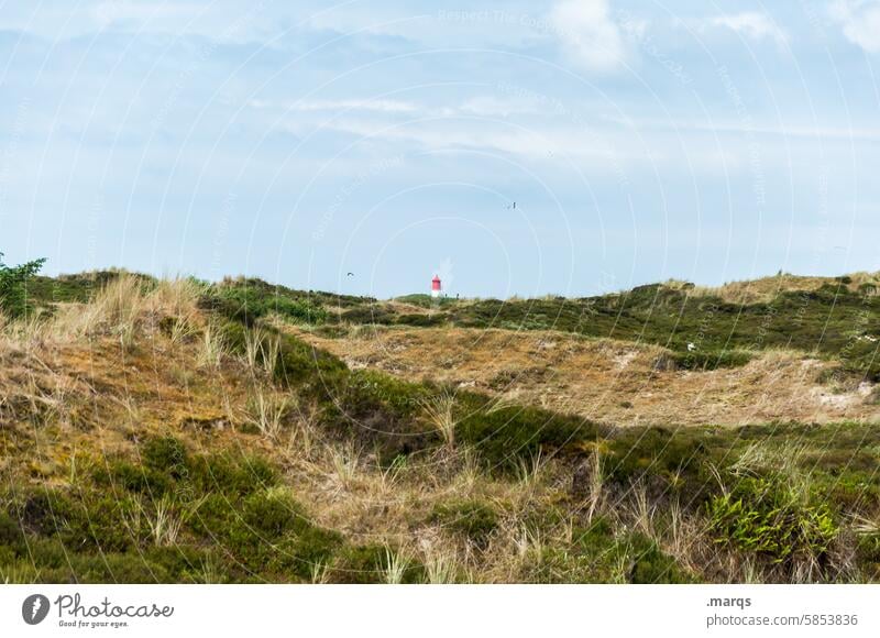 Versteckter Leuchtturm Nordseeküste Wolken Schönes Wetter Sommerurlaub Sehenswürdigkeit Landschaft Horizont Ferien & Urlaub & Reisen Natur Wiese Himmel Düne