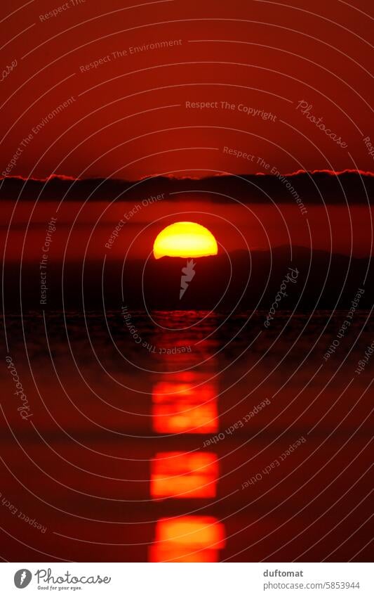 Sonnenaufgang, roter Sonnenball spiegelt sich im Wasser Wolkenlinie Sonnenaufgang - Morgendämmerung dunkel Licht feuerrot Sonnenlicht Landschaft Himmel