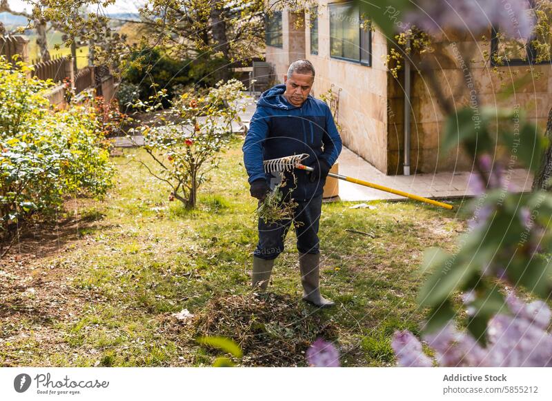 Mann mittleren Alters bei der Gartenpflege im sonnigen Hinterhof Harke Blätter Gartenarbeit ordentlich im Freien Natur tagsüber Reinigen Hof Vorstadt Freizeit