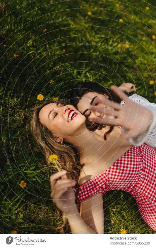 Fröhliche Freunde entspannen sich gemeinsam in einem sonnigen Park Freude lachen Gras sich[Akk] entspannen Fröhlichkeit Frau Lächeln im Freien Sommer Freizeit