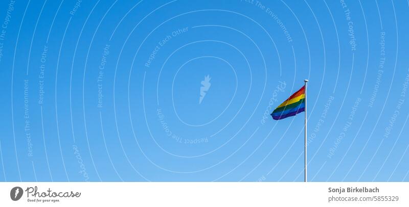 Regenbogenflagge an einem hohen Mast im Wind vor strahlend blauem Himmel Symbole & Metaphern Vielfalt Diversität regenbogenfarben Sexualität Freiheit