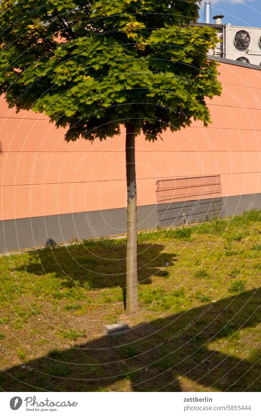 Kleiner Baum in Rudow architektur berlin büro city deutschland fassade gebäude hauptstadt haus himmel kiez leben licht mitte modern neubau platz schatten