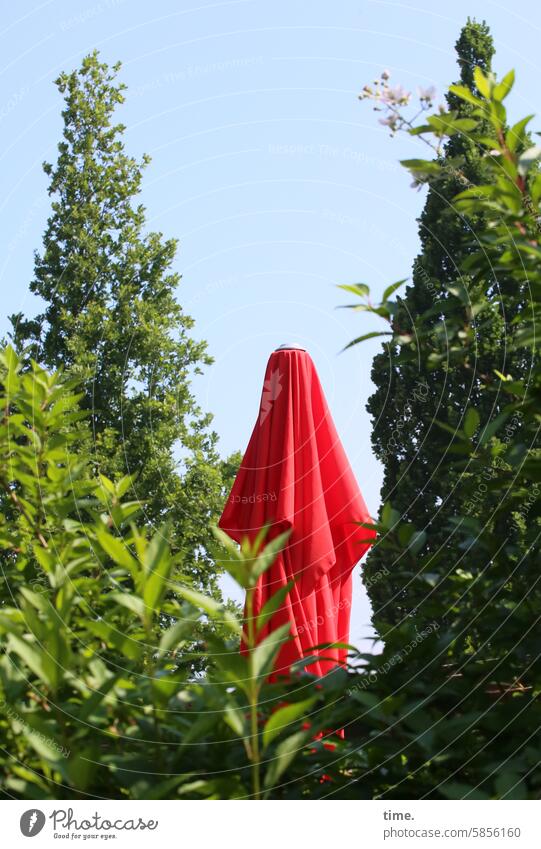 Lost Land Love IV - Diversity Bäume Sonnenschirm rot grün Himmel Park skurril Frühling sonnig Gebüsch versteckt Natur im Freien Textil zusammengeklappt