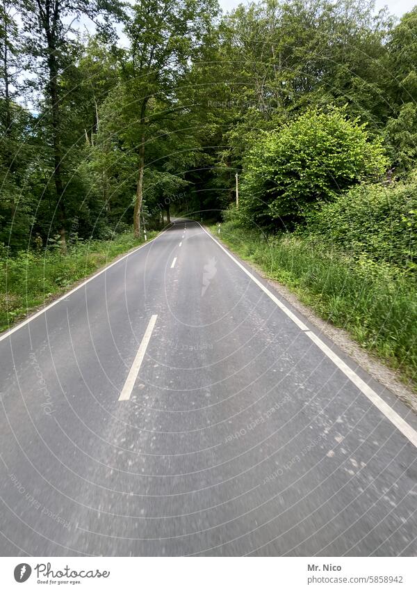 Landstraße Waldstraße Verkehr zweispurig leere Straße Straßenverkehr Roadmovie Landschaft on the road Asphalt außerorts Autofahren Fahrbahn roadtrip