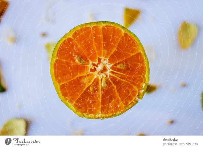 Flachlegung einer halben Orange. Flat Lay mit Selektiv auf Orangenfrucht. Scheibe Hälfte orange Mandarine Layout Overhead flach legen Vitamin saftig horizontal