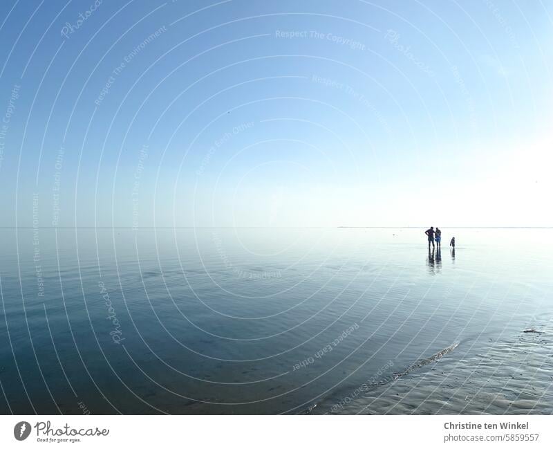 Sommer an der Nordsee Menschen Horizont Meer Wasser Strand Himmel Reflexion & Spiegelung Küste Ferien & Urlaub & Reisen Föhr Schleswig-Holstein