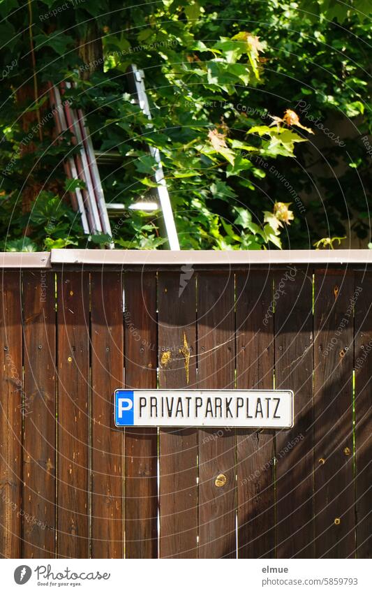 Schild  P PRIVATPARKPLATZ  an einem braunen Holzzaun vor einem Ahornbaum mit Leiter Parkplatz Privatparkplatz parken reserviert Sondergenehmigung privat Baum