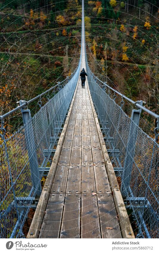 Herbstlicher Spaziergang über die Hängebrücke Geierlay, Deutschland geierlay Kettenbrücke Laubwerk Wanderung farbenfroh Wald Landschaft im Freien reisen