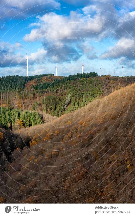 Herbstlicher Wald mit Windrädern auf den Hügeln am Schwansee Windkraftanlage Fussen Deutschland Baum fallen Farbe Landschaft Energie regenerativ Cloud Himmel