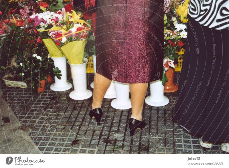 wadeln mehrfarbig Blume Frau Lackschuhe Blumenstand schwarz Vase weiß Wade Beine Farbe plaster Markt Bodenbelag Stein Außenaufnahme
