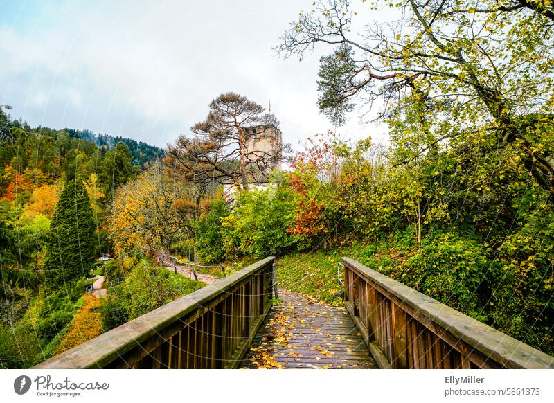 Burg Hornberg im Herbst Ruine Brücke Fußweg Landschaft alt Architektur Natur Sehenswürdigkeit Tourismus Gebäude Sightseeing Bauwerk Europa historisch Ausflug