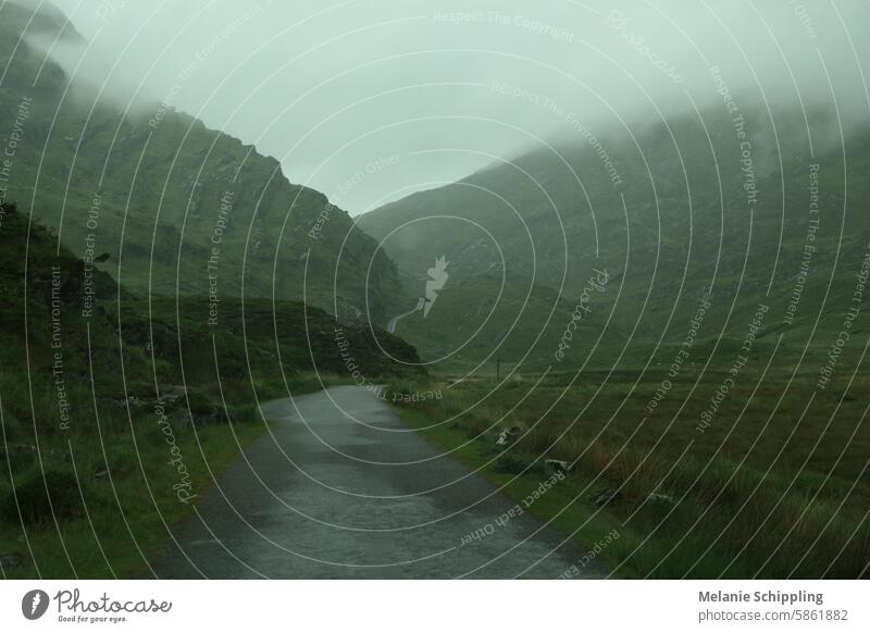 Schmale Straße durch ein Tal zwischen wolkenverhangenen grünen Berghängen in Irland Berghang mystisch irisch Roadtrip Spur Moos Gras Fels reisen im Freien