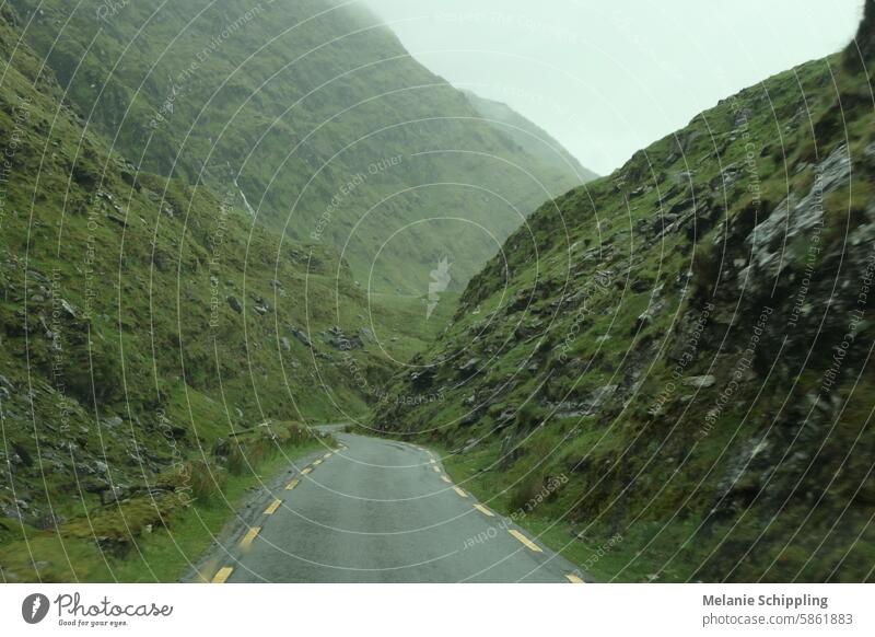 Schmale Straße durch grüne Berghänge - mystisches Irland Berghang irisch Roadtrip Spur eng nah Moos Gras Fels reisen im Freien malerisch Reise Landschaft Natur