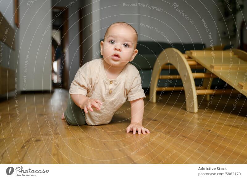 Kaukasisches Kleinkind erkundet aufmerksam das Haus Kaukasier männlich kriechend Holzfußboden Wegsehen Baby im Innenbereich heimwärts neugierig Erkundung Kind