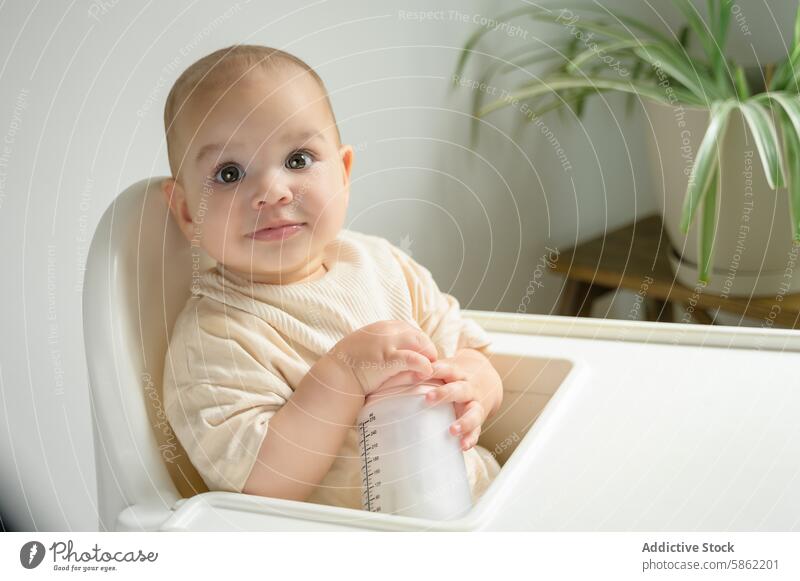 Kleiner Junge sitzt im Hochstuhl und schaut in die Kamera Baby in die Kamera schauen Säugling Kleinkind Tasse sitzend im Innenbereich heimwärts Kind niedlich