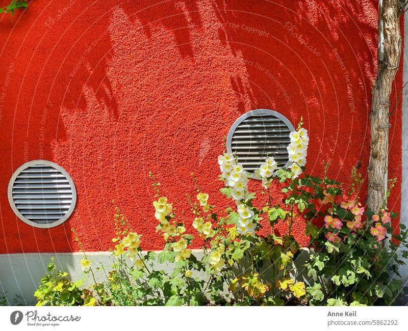 Orangene Hausfassade mit runden Lüftungsklappen, Blumen und Baum Farbfoto Menschenleer Außenaufnahme Natur Pflanze Sommer Fassade Wand Mauer orange Stadt