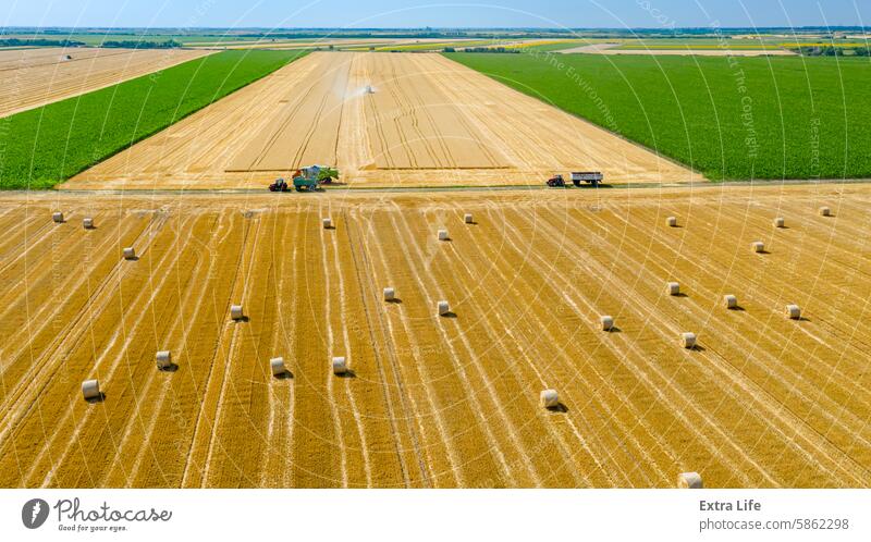 Luftaufnahme über landwirtschaftliche Felder in der Erntezeit, Saison, Rundballen aus Stroh über abgeerntetem Feld oben Antenne Ackerbau Ballen Müsli