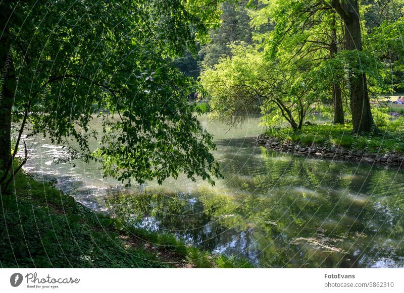 Ein See in grüner Natur mit Bäumen Aschaffenburg Textfreiraum Landschaft friedlich Wasser Deutschland Tag Hintergrund Ufer idyllisch Baum außerhalb ruhen