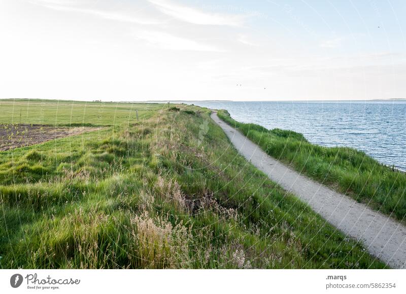 Küstenlinie Wege & Pfade Nordsee Sommer Himmel Schönes Wetter Ferien & Urlaub & Reisen Landschaft Wiese Erholung Freiheit ruhig Horizont