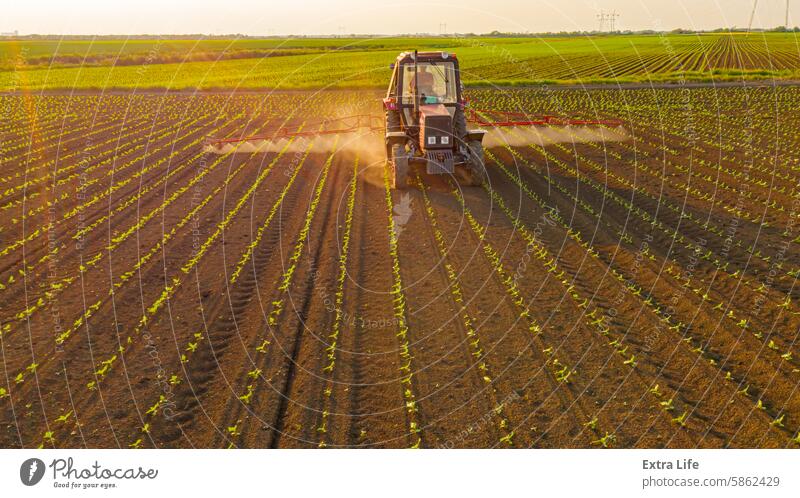 Luftaufnahme eines Traktors beim Besprühen eines Feldes mit Sprühgerät, Herbizid und Pestizid oben Aerosol landwirtschaftlich Ackerbau anbaufähig