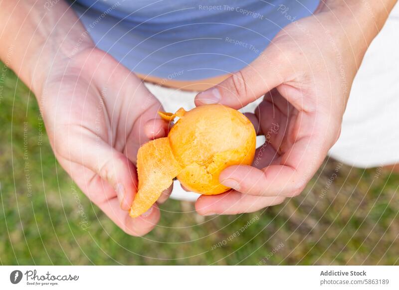 Frau schält Mispeln bei der Gartenarbeit im Freien loquat angeblättert Frucht Hand frisch saftig anonym gesichtslos Nahaufnahme üppig (Wuchs) gekonnt