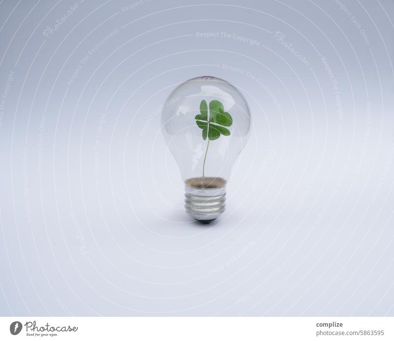 Vierblättriges Kleeblatt in einer alten Glühbirne | Viel Glück! Vintage Pflanze keimen Nachhaltigkeit nachhaltig Erneuerbare Energie Strom glühen Elektrizität