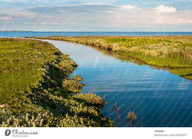 Wasserlauf Nordsee Landschaft Wolken Erholung Küste Himmel Natur Umwelt Ferien & Urlaub & Reisen Wiese Tourismus Nordseeküste Schönes Wetter Sommer ruhig Meer