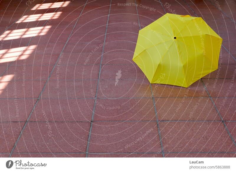 UT Leipzig - heiter bis wolkig | Zitronenfalter Regenschirm gelber Schirm Licht Schatten Faltschirm zitronengelb Fenster Fensterkreuz Fensterkreuze Fliesen