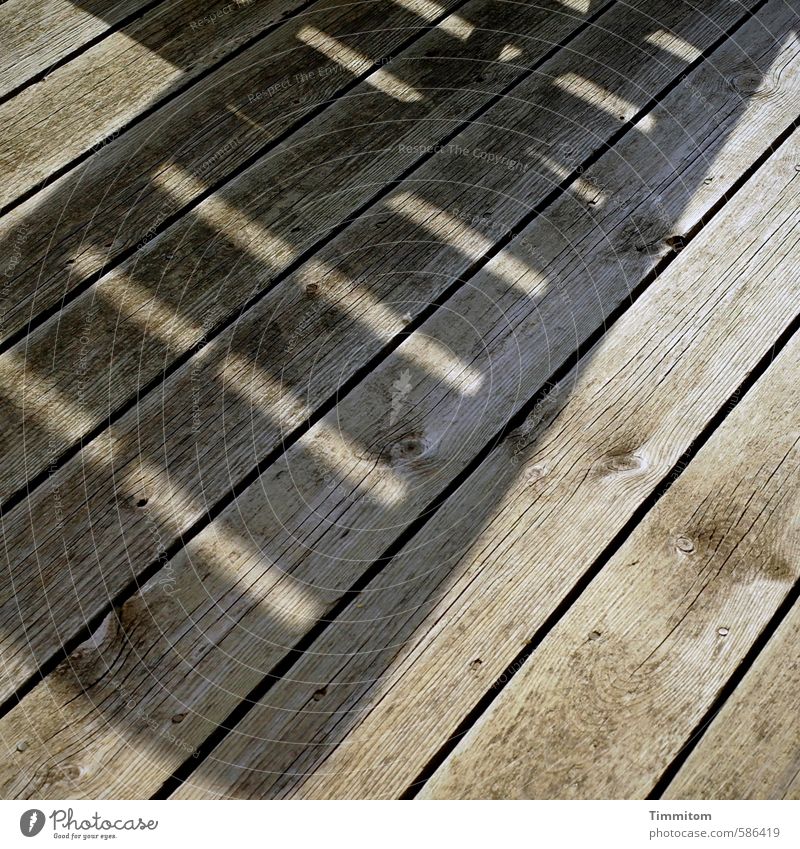 Auf Liegen liegen. Ferien & Urlaub & Reisen Dänemark Ferienhaus Terrasse Holz ästhetisch einfach grau Gefühle Freude ruhig Erholung Schatten Holzfußboden