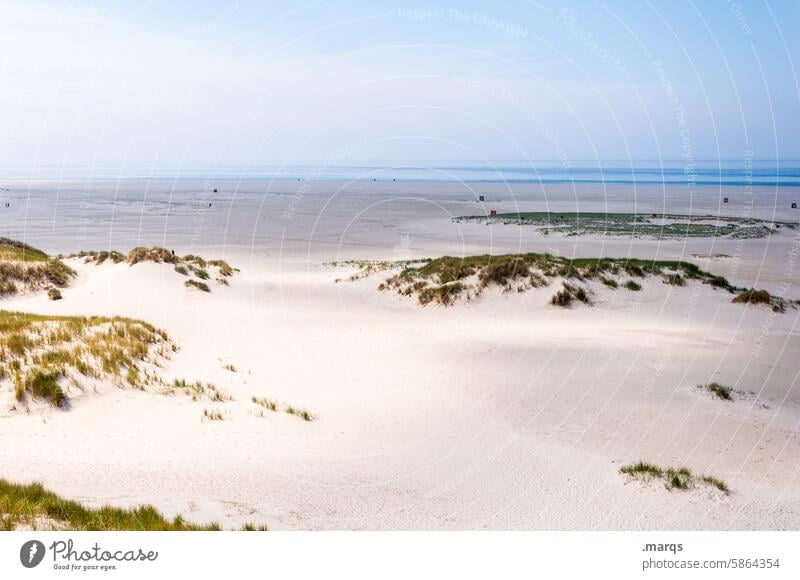 Sandig maritim Nordseeküste Küste Natur Strand Wattenmeer Nordfriesland Landschaft Meer Himmel Amrum Ferien & Urlaub & Reisen Tourismus Sommer Dünen