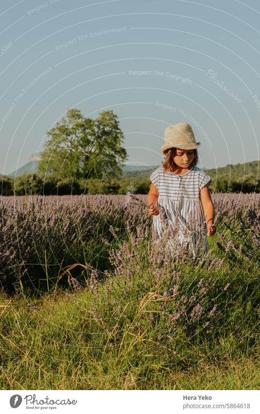 Mädchen mit Strohhut inmitten von Lavendelfeldern Sonnenstrahlen Kleid gestreift entspannt Kindheit Frankreich reisen violett Natur schön purpur Landschaft