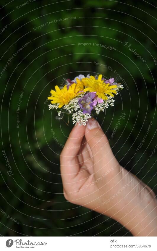 Ein Wildblumen-Mini-Sträußchen für dich! Hand eines Teenagers mit einem kleinen, feinen Blumenbouquet Natur natürlich Frühling Sommer Wiese wilde Natur