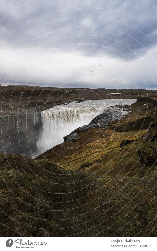 Ungezähmte Kraft Dettifoss Natur Island Wasserfall Landschaft Umwelt Schlucht Urelemente Felsen Außenaufnahme wild Fluss natürlich nass Menschenleer gigantisch