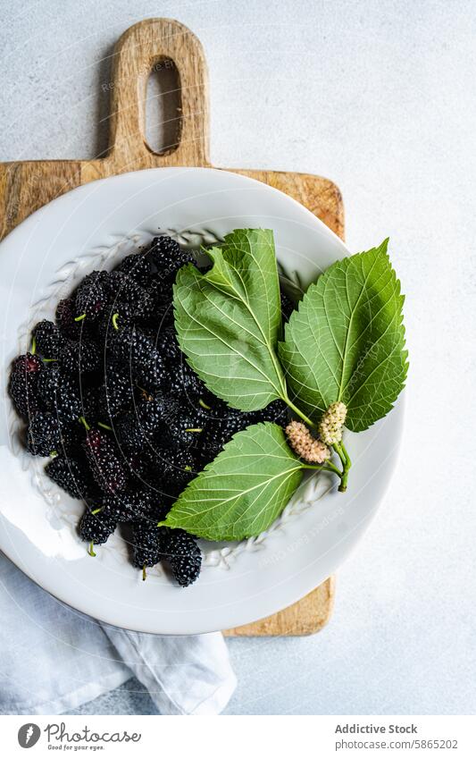 Frische Maulbeeren in einer weißen Schale auf einem hölzernen Schneidebrett Frucht Schalen & Schüsseln Blatt grün schwarz frisch saftig reif Textur natürlich