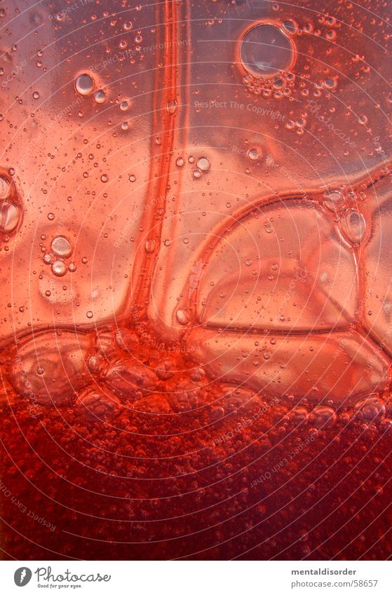 Lava im Glas abstrakt rund Kreis Oval Inhalt Konzentration Schaum Flüssigkeit Blut Körperflüssigkeit Duschgel rot Luft durchsichtig Sauberkeit Reinigen Gel zäh