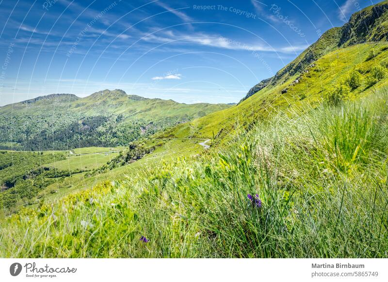 Die vulkanische Landschaft des Puy Mary, Auvergne Frankreich Puy-Maria puy Tal Zentralmassiv Landschaften reisen im Freien Natur grün Himmel schön kantal Feld