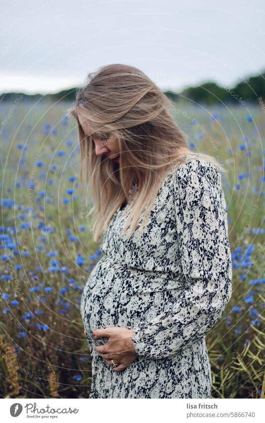 SCHWANGER - JUNGE FRAU - KORNBLUMEN Frau schwanger Schwangerschaft nach unten blicken Bauch Babybauch halten blond langhaarig in der natur kornblumen