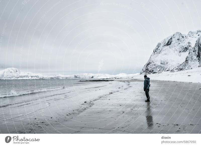 Lofoten - Beach Boy Norwegen Lofoten Inseln Skandinavien Ferien & Urlaub & Reisen Landschaft nordisch Polarmeer Wasser Felsen Reisefotografie Natur Meer