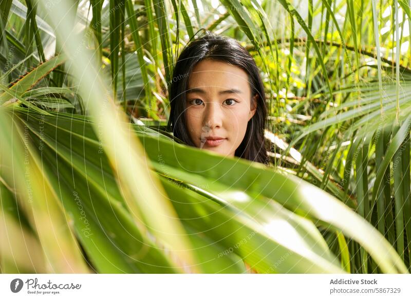 Junge asiatische Frau blickt durch üppige grüne Blätter tropisch Natur im Freien neugierig Direkter Blick Blatt Gesicht gerahmt üppig (Wuchs) pulsierend Palme